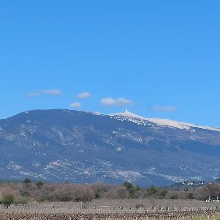 Mon Ventoux Villa Modene Exterior photo
